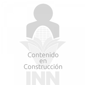 logo inn_byn