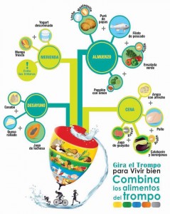 Infografia Trompo de los Alimentos