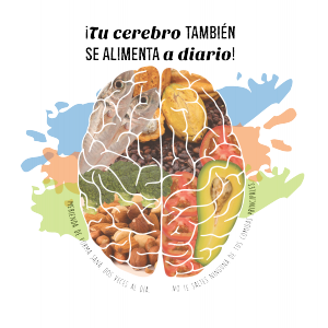 Alimentos el cerebro-Arte