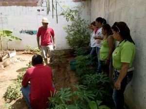 Programa NPSAL-SAL reimpulsa la agricultura urbana en  Zulia2